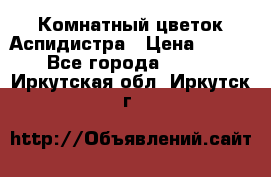 Комнатный цветок Аспидистра › Цена ­ 150 - Все города  »    . Иркутская обл.,Иркутск г.